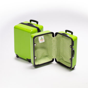 Avocado Suitcase